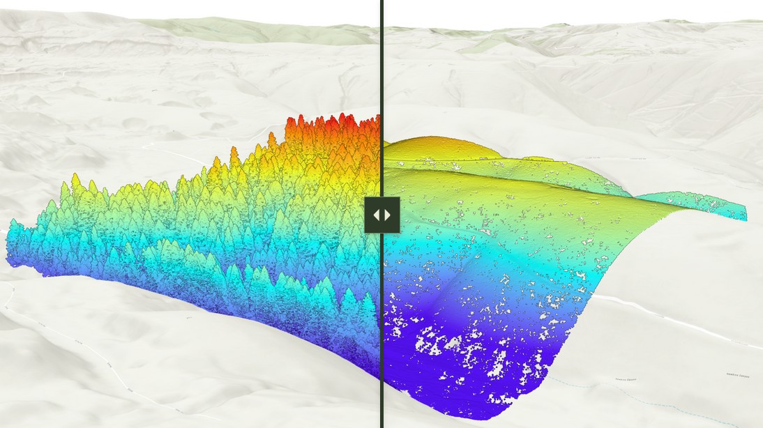 LiDAR Imagery of Forest